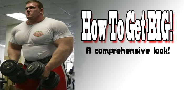 How To Get BIG
